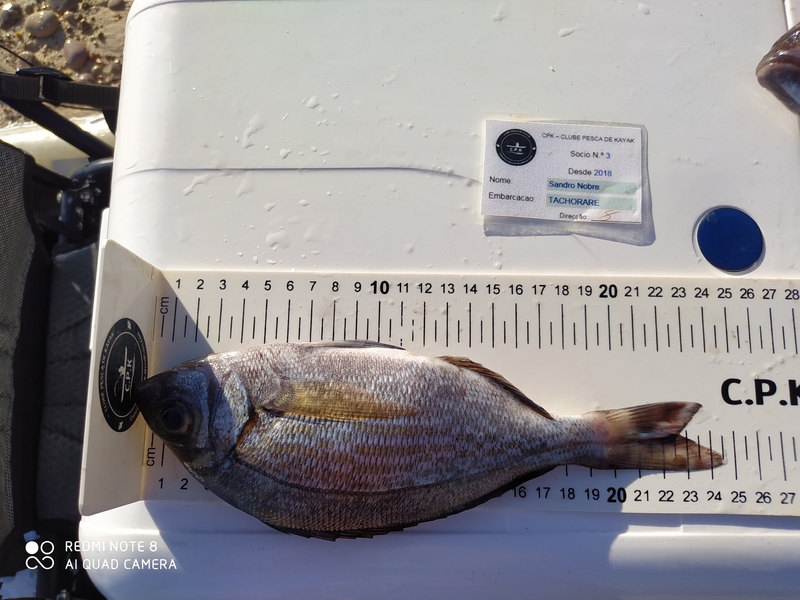Fish Measure Picture