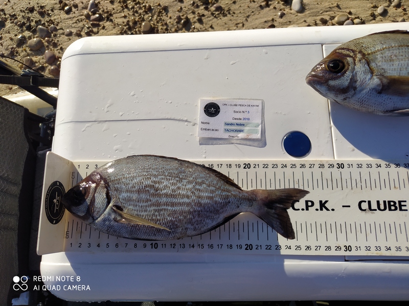 Fish Measure Picture