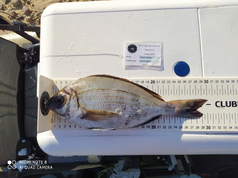 Fish Measure Picture