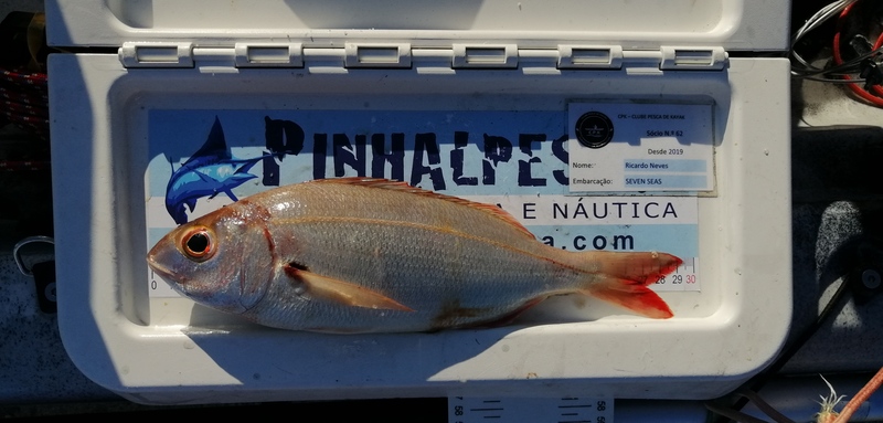 Fish Measure Picture
