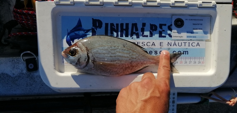 Fish Measure Picture