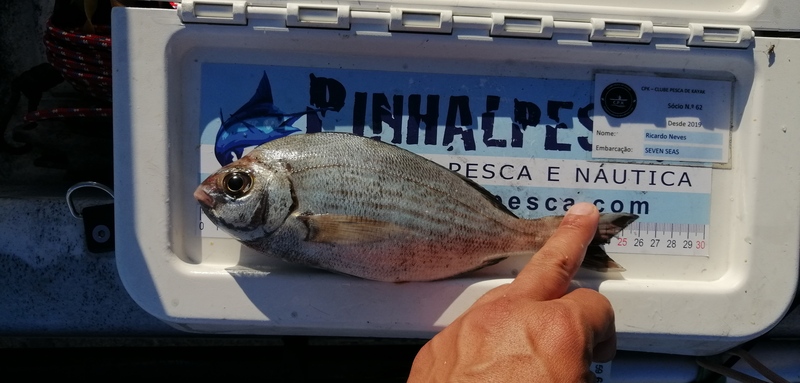 Fish Measure Picture