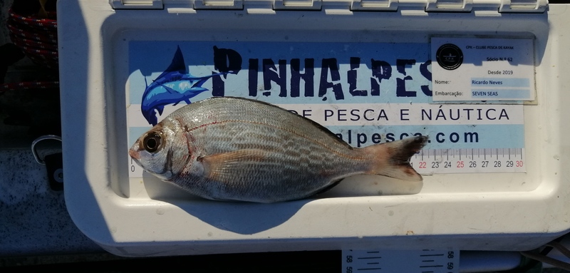 Fish Measure Picture