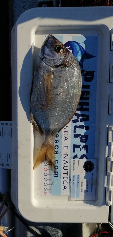 Fish Measure Picture