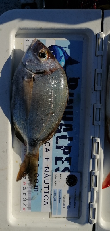 Fish Measure Picture
