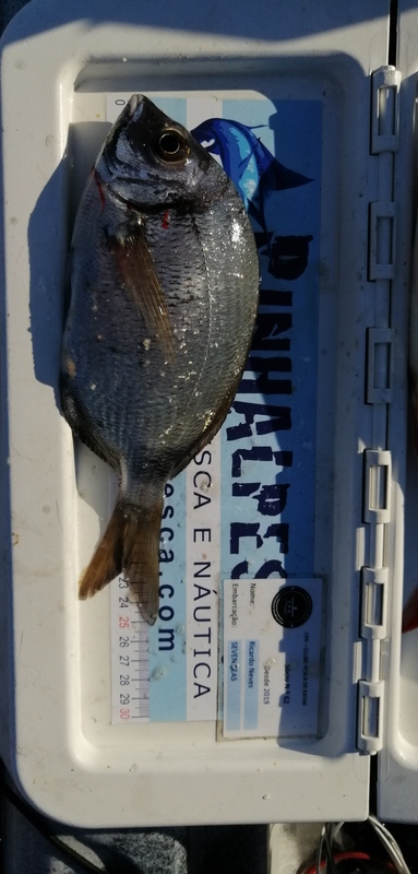 Fish Measure Picture