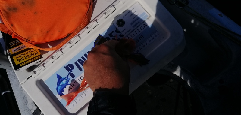 Fish Measure Picture