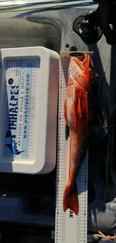 Fish Measure Picture