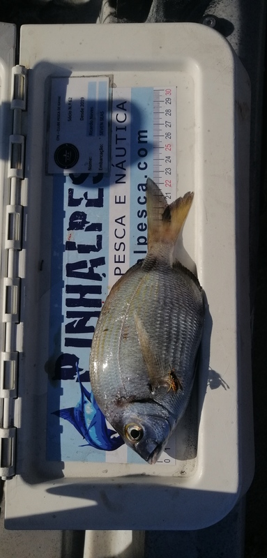 Fish Measure Picture