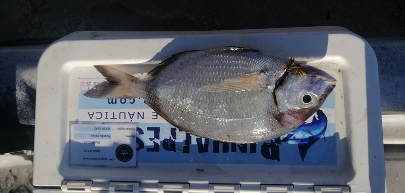 Fish Measure Picture