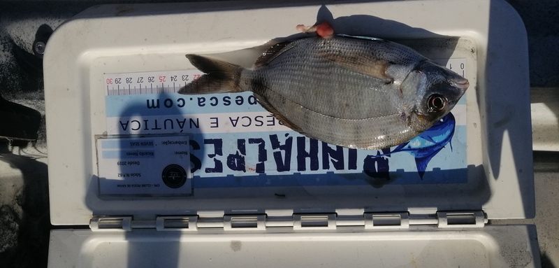 Fish Measure Picture