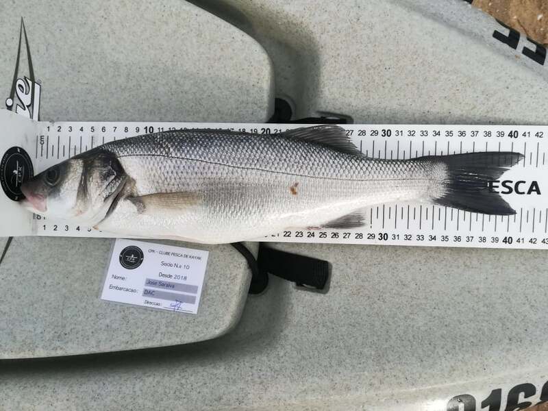 Fish Measure Picture
