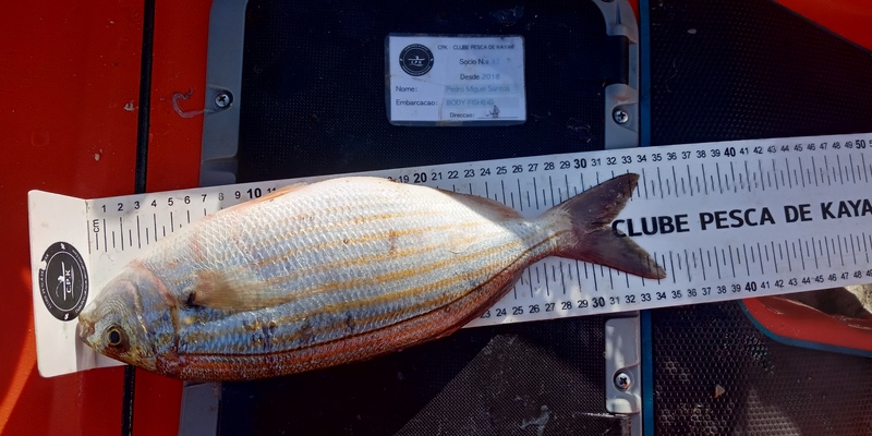 Fish Measure Picture