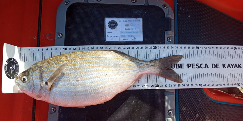 Fish Measure Picture