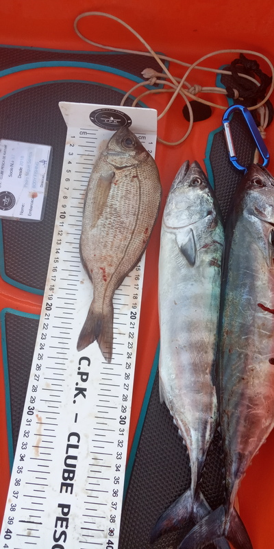 Fish Measure Picture