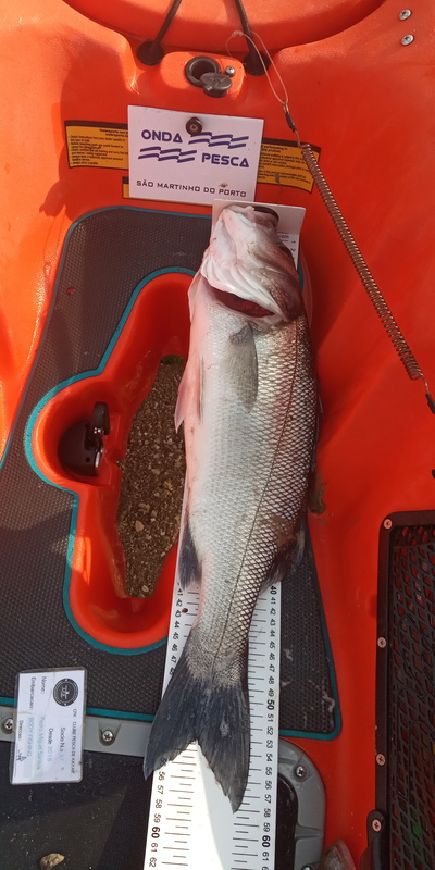 Fish Measure Picture