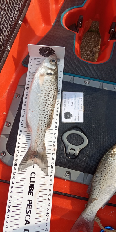 Fish Measure Picture