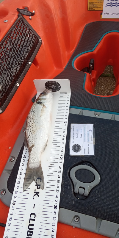 Fish Measure Picture