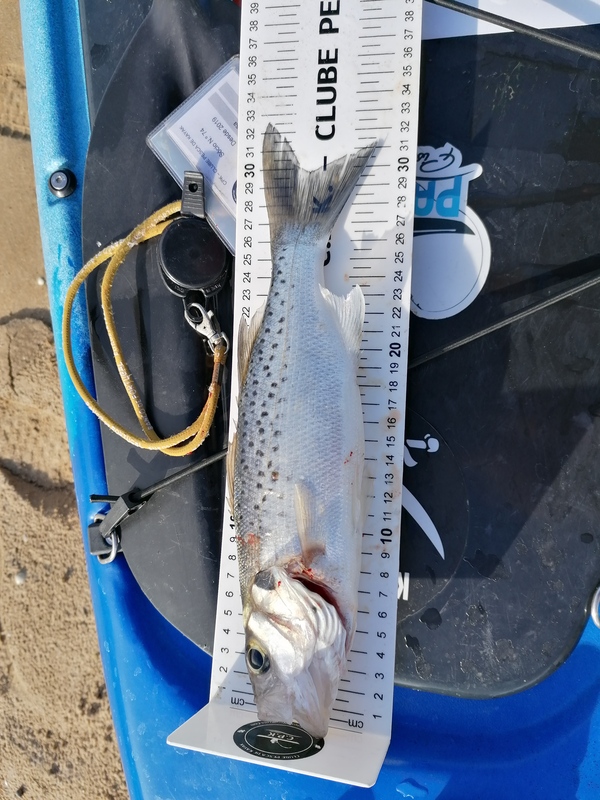 Fish Measure Picture