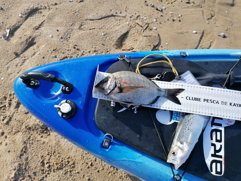 Fish Measure Picture