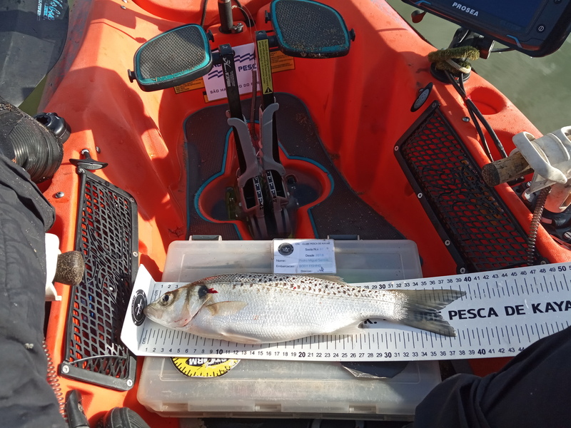 Fish Measure Picture