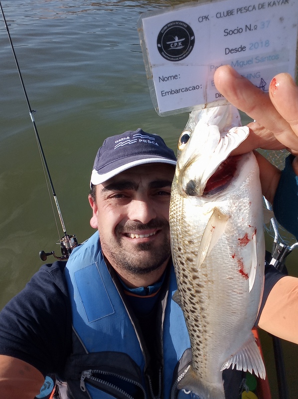 Fish Profile Picture