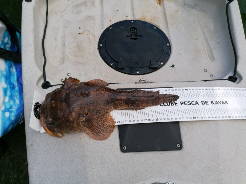 Fish Measure Picture