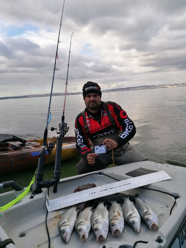 Fish Profile Picture