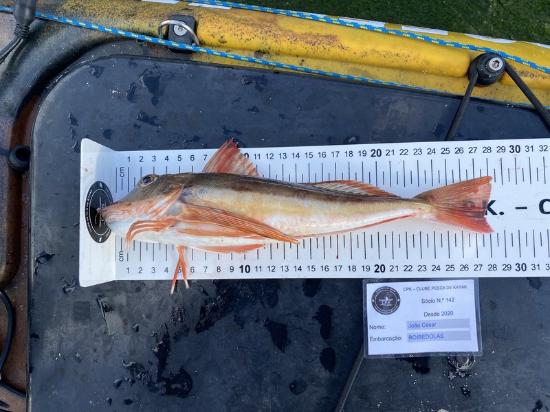 Fish Measure Picture