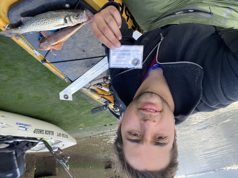 Fish Profile Picture