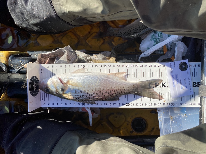 Fish Measure Picture