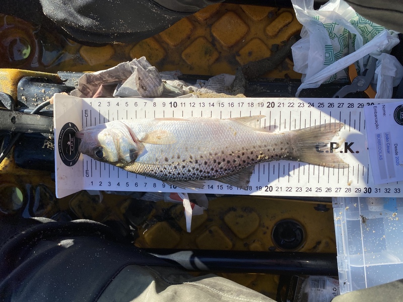 Fish Measure Picture