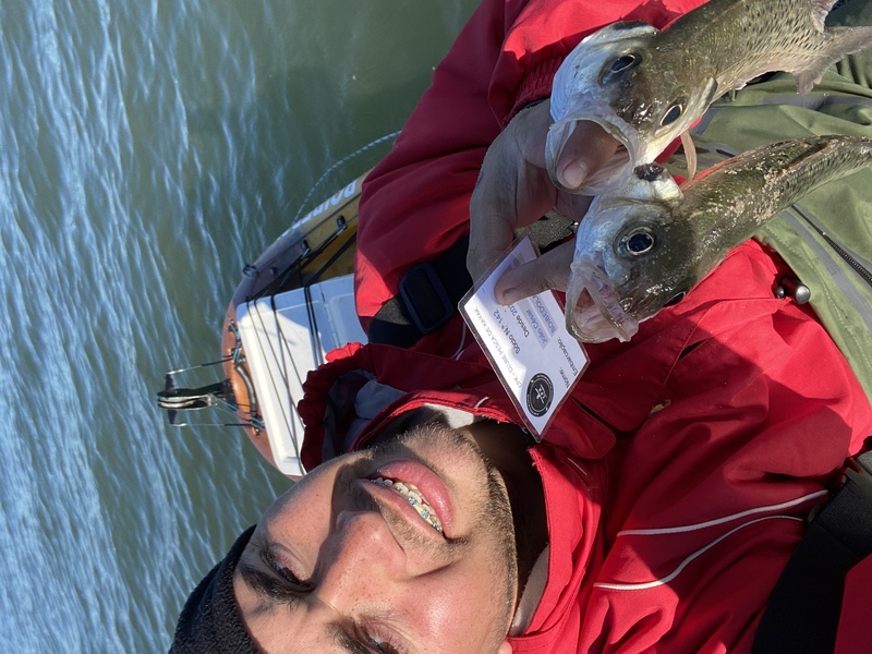 Fish Profile Picture