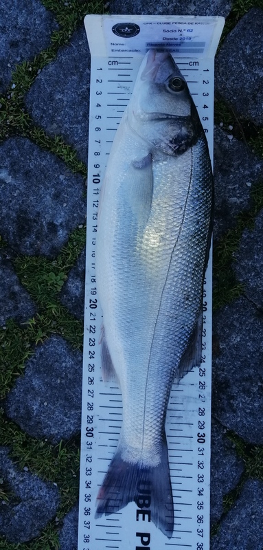 Fish Measure Picture