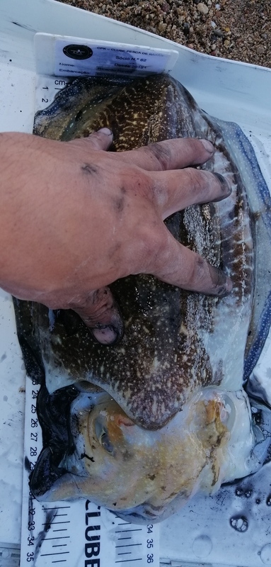 Fish Measure Picture