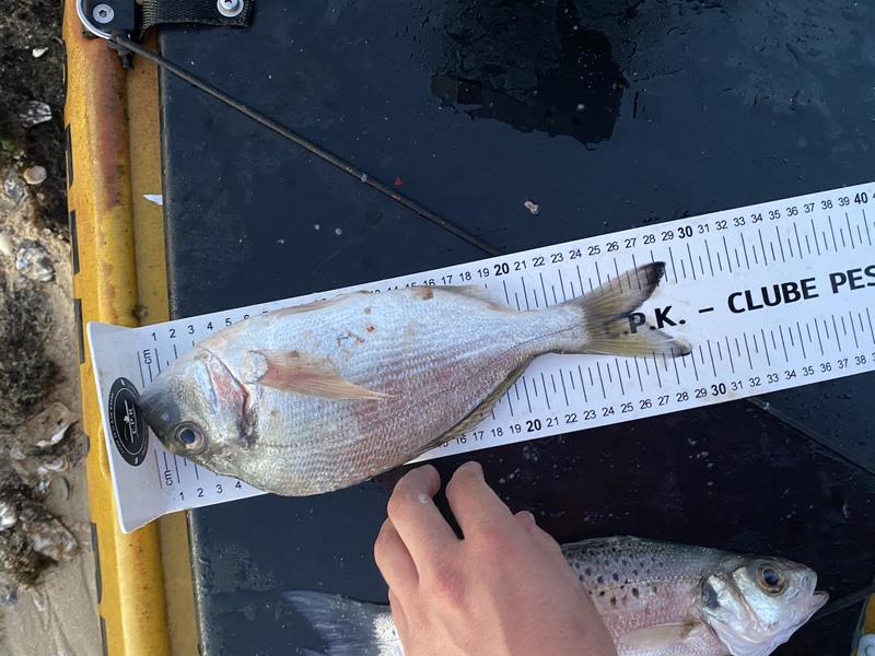 Fish Measure Picture