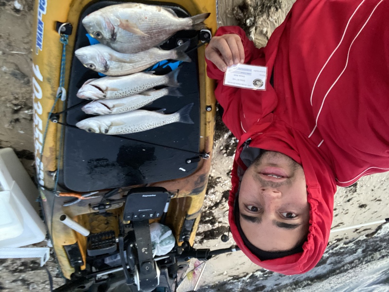 Fish Profile Picture