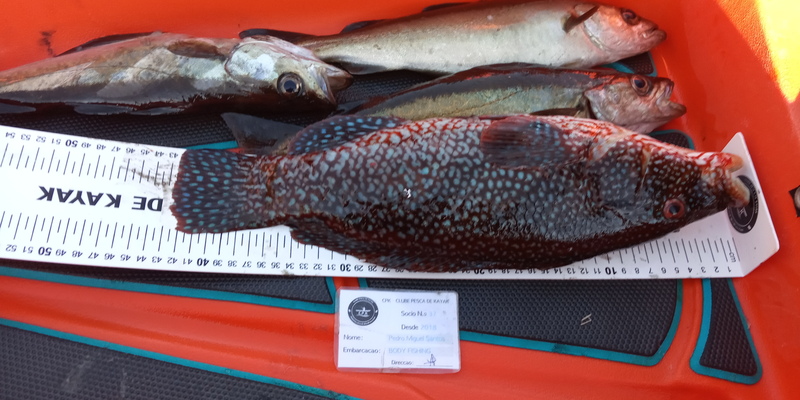 Fish Measure Picture