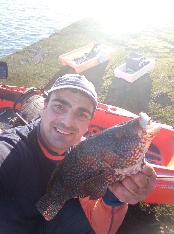 Fish Profile Picture