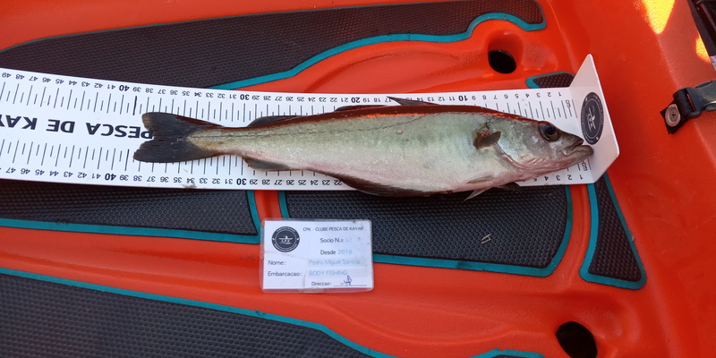 Fish Measure Picture