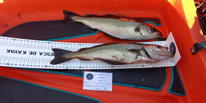 Fish Measure Picture