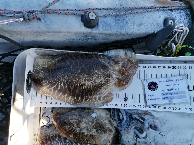 Fish Measure Picture
