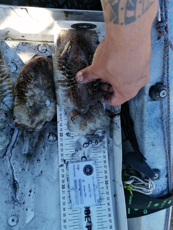 Fish Measure Picture