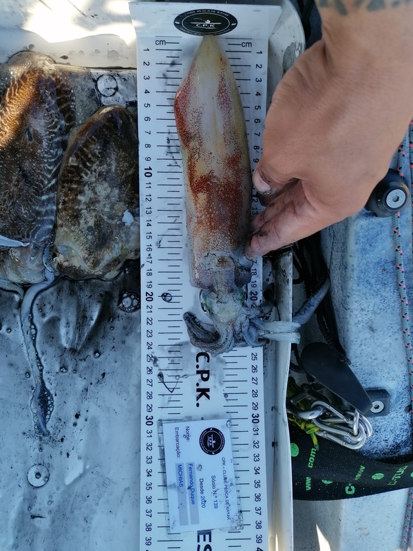 Fish Measure Picture