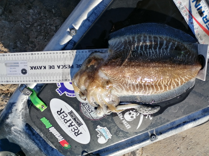 Fish Measure Picture