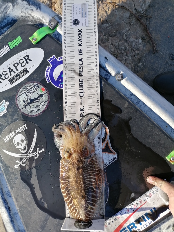 Fish Measure Picture