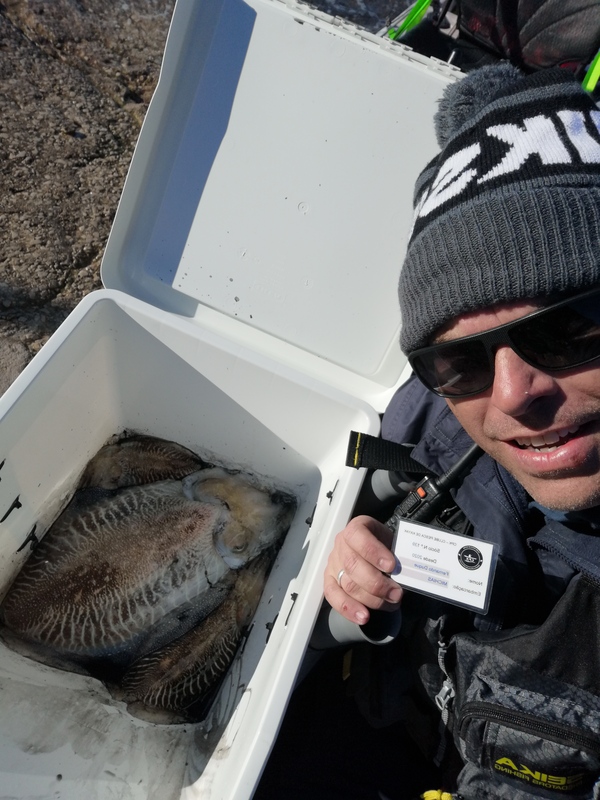 Fish Profile Picture