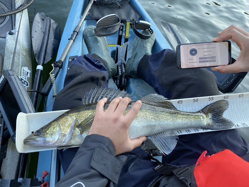 Fish Measure Picture