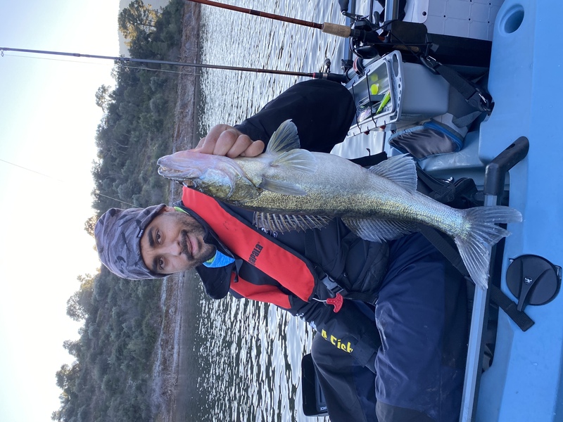 Fish Profile Picture