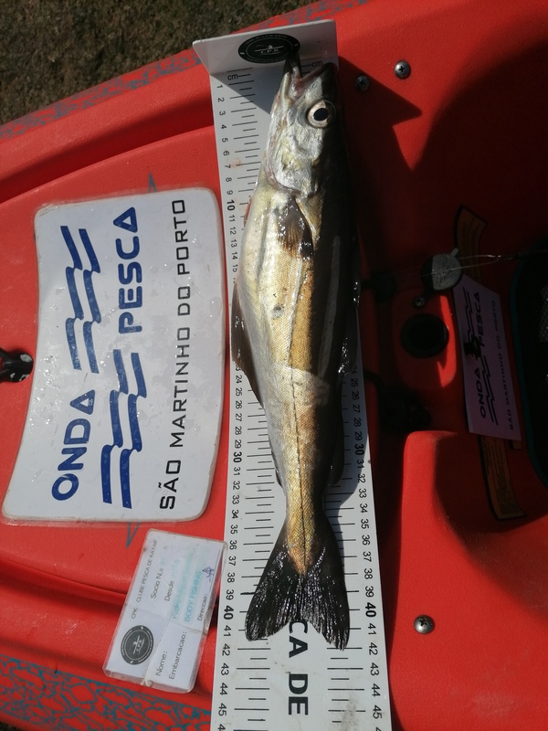 Fish Measure Picture